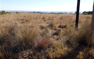 2.5 ha Land available in Randridge