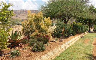 980 m² Land available in Wigwam