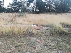 500 m² Land available in Ohenimuri