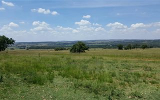196 ha Farm in Kungwini Country Estate