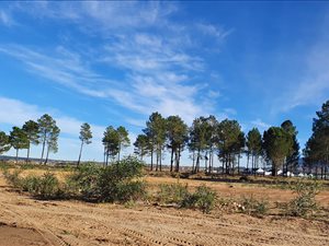 1200 m² Land available in Val de Vie
