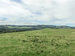 1 ha Land available in Nottingham Road