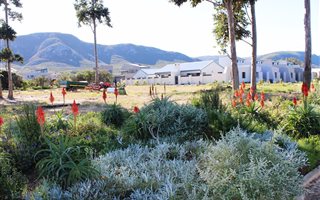 223 m² Land available in Thornhill