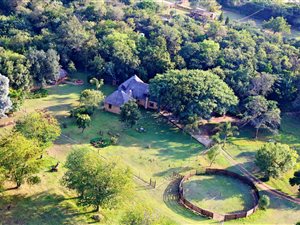 27 ha Farm in Rayton