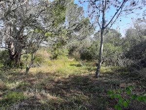 1199 m² Land available in Bathurst and Surrounds
