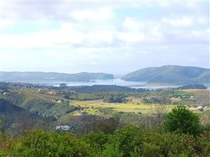 177 ha Farm in Knysna Central