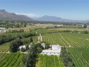 11.6 ha Farm in Northern Paarl