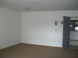 Studio Apartment in Zonnebloem