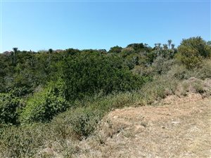 786 m² Land available in Riversbend