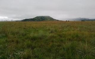 461 ha Land available in Dannhauser