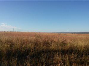 4.3 ha Land available in Mooiplaats AH