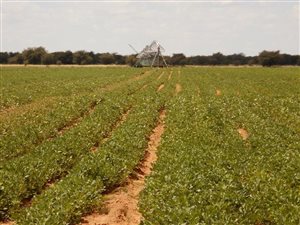 2277 ha Farm in Vryburg