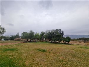 2.3 ha Smallholding in Kameeldrift