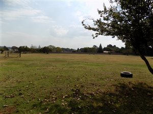 1 ha Land available in Van Ryn SH