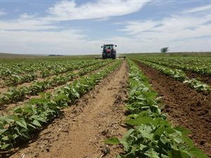 780 ha Farm in Bethlehem