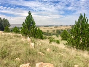 2.6 ha Land available in Muldersdrift