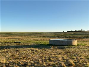 267 ha Farm in Bethlehem