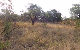 1199 m² Land available in Kameeldrift