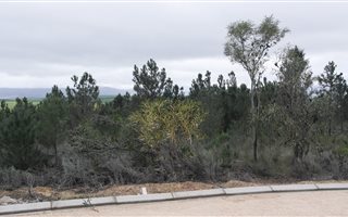 638 m² Land available in Caledon