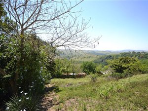 32 ha Farm in Ballito