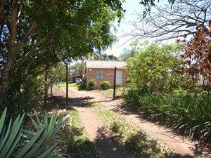 32 ha Farm in Ballito
