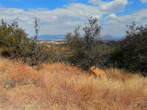 1100 m² Land available in Brits