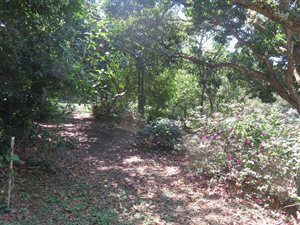 1308 m² Land available in Mtunzini