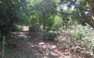 1308 m² Land available in Mtunzini