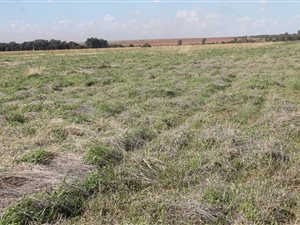 428 ha Farm in Lichtenburg