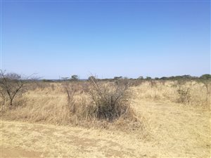 Farm in Louis Trichardt