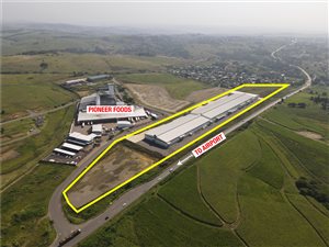 17598 m² Industrial space in Shakaskraal