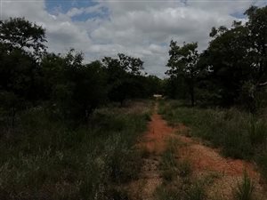 1.1 ha Land available in Kameelfontein and surrounds