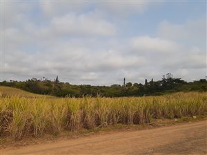 17 ha Farm in Ballito