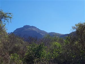 2505 m² Land available in Kampersrus AH
