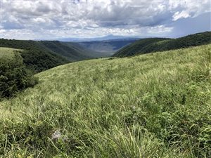 4634 ha Farm in Adelaide