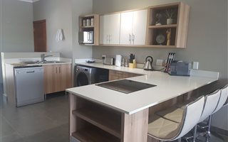 2 Bedroom Apartment in Brooklyn