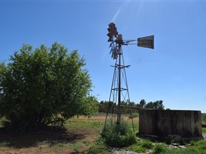 1241 ha Farm in Viljoenskroon