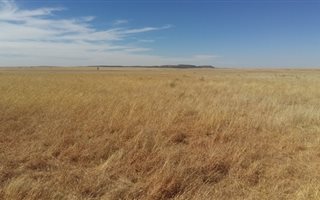 603 ha Land available in Bultfontein