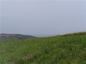 40 ha Farm in Ballito