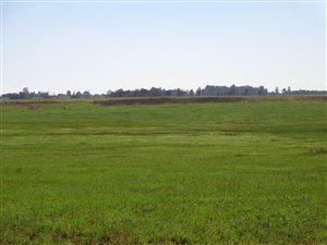 693 ha Farm in Grootfontein Estate