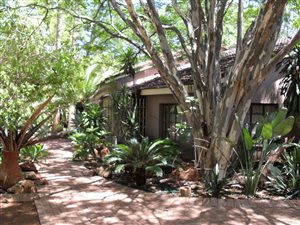 273.2 ha Farm in Roedtan