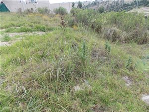 600 m² Land available in Blue Mountain Village