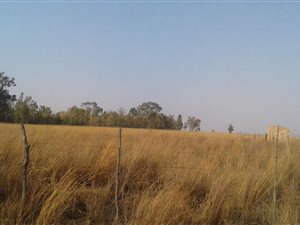 5 ha Land available in Rooiwal