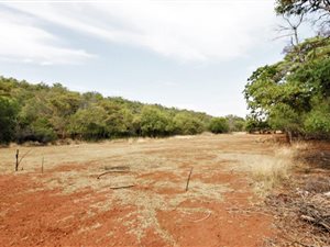 21 ha Farm in Modimole (Nylstroom)