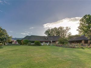 3.6 ha Farm in Stellenbosch Agricultural