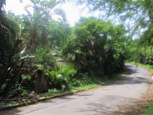 2119 m² Land available in Southbroom