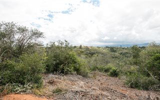 29 ha Land available in Victoria Heights