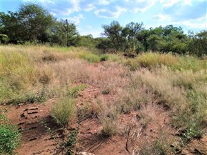 5752 m² Land available in Mokopane