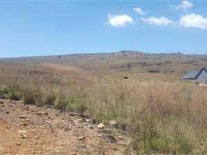 1163 m² Land available in Dullstroom