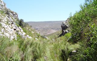 970 ha Farm in Herbertsdale